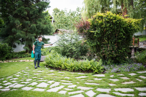 Best Best Pest Control Companies  in Lago Vista, TX