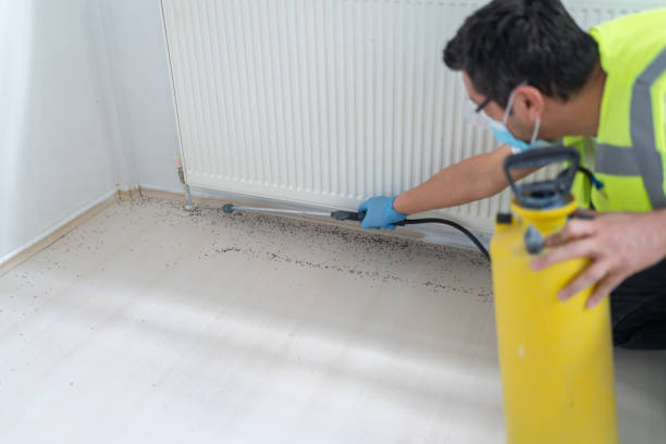 Best Exterminator Services  in Lago Vista, TX